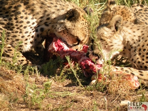 Samen eten.JPG